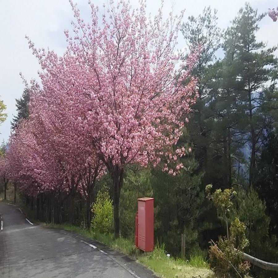 Terrace Resort Aszago Kültér fotó